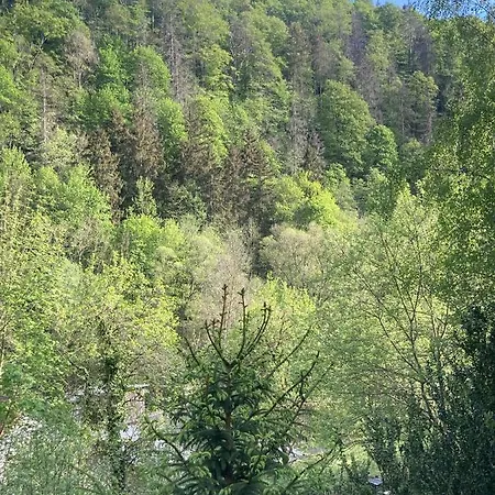 Ferienhaus Nataljas Ferienhaus In Rübeland