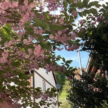 Ferienhaus Nataljas Ferienhaus In Rübeland